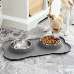 Frisco Silicone Stainless Steel Double Diner Dog & Cat Bowl -Chewy 215990 PT7. AC SS1800 V1605658625