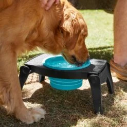 Frisco Elevated Collapsible Travel Bowl 11 Frisco Elevated Collapsible Travel Bowl -Chewy 216013 PT7. AC SS1800 V1605653830