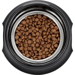 Frisco Stainless Steel Bowl With Elevated Stand 13 Frisco Stainless Steel Bowl With Elevated Stand -Chewy 216020 PT4. AC SS1800 V1591020427