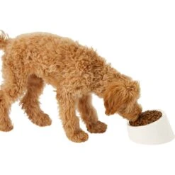 Frisco Slanted Stainless Steel Bowl 14 Frisco Slanted Stainless Steel Bowl -Chewy 216028 PT6. AC SS1800 V1605666119