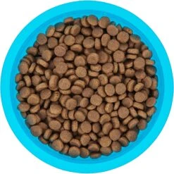 Frisco Plastic Suction Bowl, Blue -Chewy 216037 PT4. AC SS1800 V1591020655