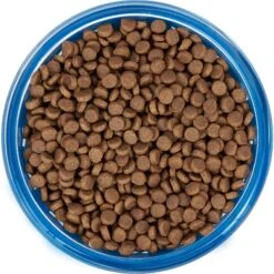 Frisco Chevron Design Glass Bowl With Silicone Sleeve 12 Frisco Chevron Design Glass Bowl With Silicone Sleeve -Chewy 216049 PT4. AC SS1800 V1591020735