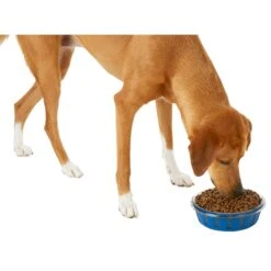 Frisco Chevron Design Glass Bowl With Silicone Sleeve 13 Frisco Chevron Design Glass Bowl With Silicone Sleeve -Chewy 216049 PT6. AC SS1800 V1605654757