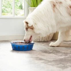 Frisco Chevron Design Glass Bowl With Silicone Sleeve 14 Frisco Chevron Design Glass Bowl With Silicone Sleeve -Chewy 216049 PT7. AC SS1800 V1605664319