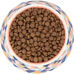 Frisco Colorful Geometric Melamine Bowl 13 Frisco Colorful Geometric Melamine Bowl -Chewy 216054 PT4. AC SS1800 V1591020757