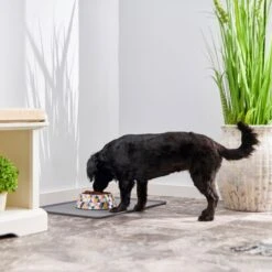 Frisco Colorful Geometric Melamine Bowl 15 Frisco Colorful Geometric Melamine Bowl -Chewy 216054 PT7. AC SS1800 V1605662213