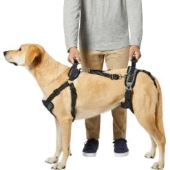 Frisco Front & Rear Lift Handicapped Support Dog Harness 11 Frisco Front & Rear Lift Handicapped Support Dog Harness -Chewy 220372 PT5. AC SS1800 V1605749597