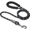 Frisco Rope Dog Leash With Padded Handle 1 Frisco Rope Dog Leash With Padded Handle -Chewy 221218 MAIN. AC SS1800 V1701796765