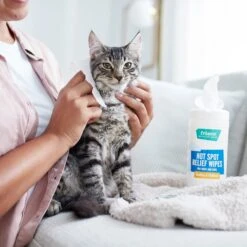 Frisco Hot Spot Relief Wipes 8 Frisco Hot Spot Relief Wipes -Chewy 222163 PT2. AC SS1800 V1602831392