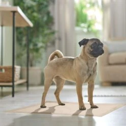 Frisco Large Eco-Conscious Dog Training & Potty Pads 17 Frisco Large Eco-Conscious Dog Training & Potty Pads -Chewy 227438 PT6. AC SS1800 V1674665619