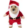 Frisco Front Walking Santa Dog & Cat Costume, 1 Count 1 Frisco Front Walking Santa Dog & Cat Costume, 1 Count -Chewy 228785 MAIN. AC SS1800 V1631300256