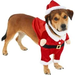 Frisco Front Walking Santa Dog & Cat Costume, 1 Count 11 Frisco Front Walking Santa Dog & Cat Costume, 1 Count -Chewy 228785 PT3. AC SS1800 V1631300866