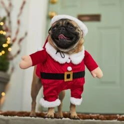Frisco Front Walking Santa Dog & Cat Costume, 1 Count 14 Frisco Front Walking Santa Dog & Cat Costume, 1 Count -Chewy 228785 PT7. AC SS1800 V1601560869
