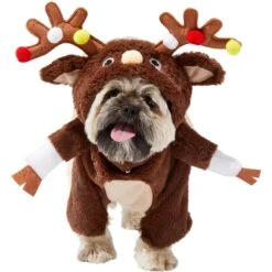 Frisco Front Walking Reindeer Dog & Cat Costume, 1 Count 13 Frisco Front Walking Reindeer Dog & Cat Costume, 1 Count -Chewy 228790 PT2. AC SS1800 V1636731101