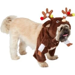 Frisco Front Walking Reindeer Dog & Cat Costume, 1 Count 14 Frisco Front Walking Reindeer Dog & Cat Costume, 1 Count -Chewy 228790 PT3. AC SS1800 V1631299657