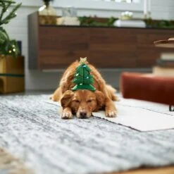 Frisco Christmas Tree LED Dog & Cat Headpiece 11 Frisco Christmas Tree LED Dog & Cat Headpiece -Chewy 229051 PT7. AC SS1800 V1601648765