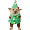 Frisco Front Walking Christmas Tree Dog & Cat Costume 1 Frisco Front Walking Christmas Tree Dog & Cat Costume -Chewy 229164 MAIN. AC SS1800 V1631300529