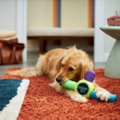 Frisco Retro Whack It! Ballistic Nylon Plush Squeaky Dog Toy 7 Frisco Retro Whack It! Ballistic Nylon Plush Squeaky Dog Toy -Chewy 230302 PT3. AC SS1800 V1601947283