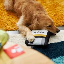 Frisco Retro Floppy Disc Ballistic Nylon Plush Squeaky Dog Toy -Chewy 230304 PT3. AC SS1800 V1602639753