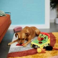 Frisco Retro Smack-a-Squirrel Hide & Seek Puzzle Plush Squeaky Dog Toy -Chewy 230313 PT3. AC SS1800 V1601947334