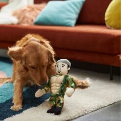 Frisco Retro Camo Hero Muscle Plush Squeaky Dog Toy 7 Frisco Retro Camo Hero Muscle Plush Squeaky Dog Toy -Chewy 230375 PT3. AC SS1800 V1602639726