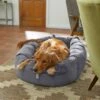 Frisco Velvet Round Bolster Dog Bed W/Removable Cover 2 Frisco Velvet Round Bolster Dog Bed W/Removable Cover -Chewy 232178 MAIN. AC SS1800 V1602013291