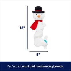 Frisco Holiday Snowman Bungee Plush Squeaky Dog Toy 9 Frisco Holiday Snowman Bungee Plush Squeaky Dog Toy -Chewy 233221 PT1. AC SS1800 V1701797064