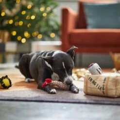 Frisco Holiday Fragile Box Hide & Seek Puzzle Plush Squeaky Dog Toy 13 Frisco Holiday Fragile Box Hide & Seek Puzzle Plush Squeaky Dog Toy -Chewy 233274 PT4. AC SS1800 V1665759767