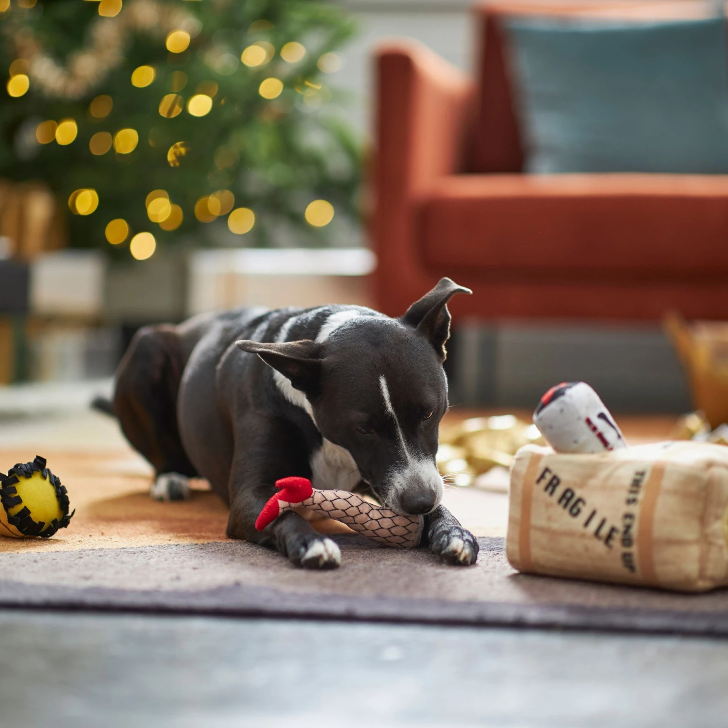 Frisco Holiday Fragile Box Hide & Seek Puzzle Plush Squeaky Dog Toy 7 Frisco Holiday Fragile Box Hide & Seek Puzzle Plush Squeaky Dog Toy - Image 5