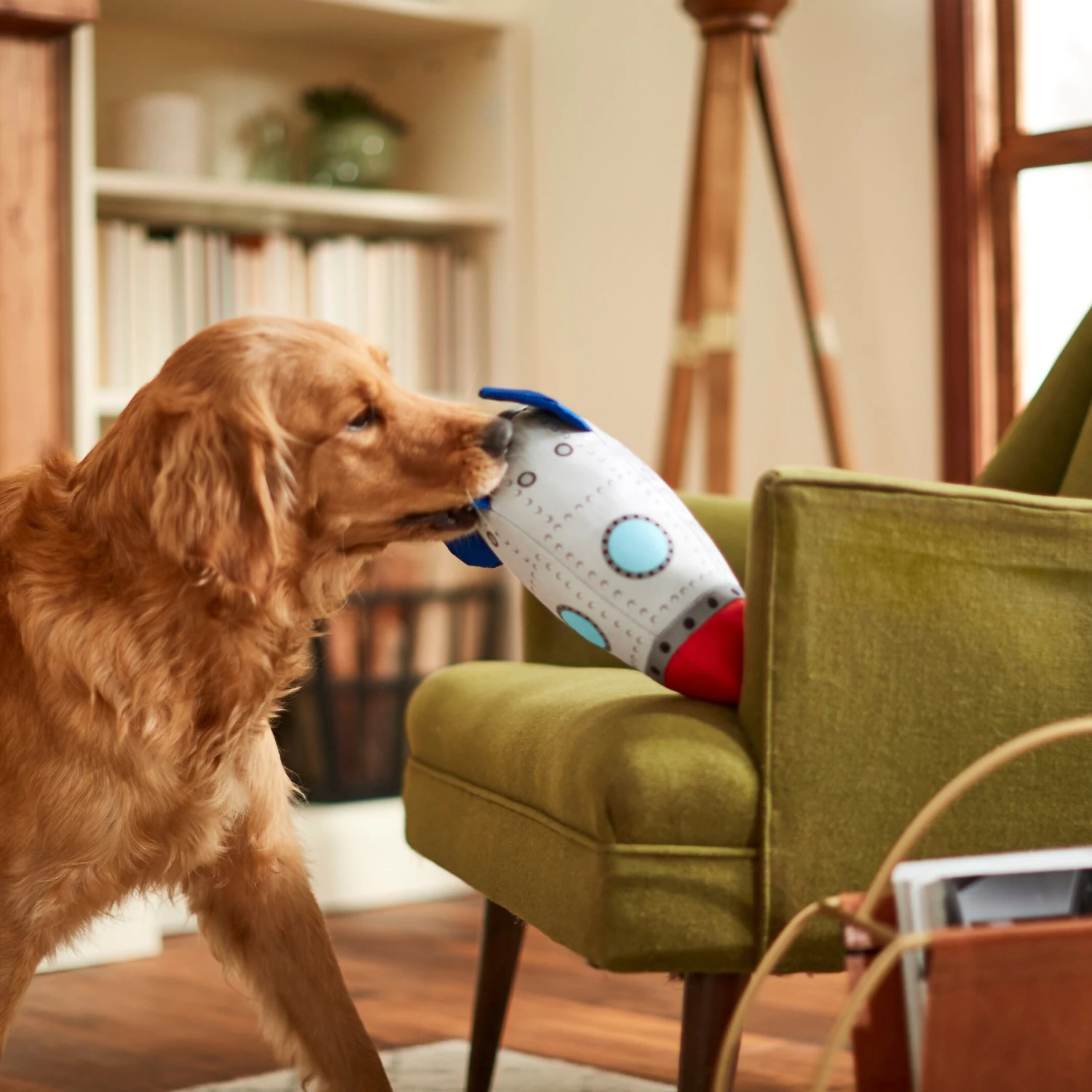 Frisco Ballistic Nylon Plush Squeaky Rocket Ship Dog Toy 5 Frisco Ballistic Nylon Plush Squeaky Rocket Ship Dog Toy - Image 3