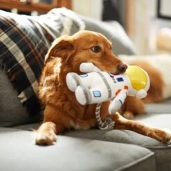 Frisco Ballistic Nylon Plush With Rope Squeaky Astronaut Dog Toy 7 Frisco Ballistic Nylon Plush With Rope Squeaky Astronaut Dog Toy -Chewy 233585 PT3. AC SS1800 V1600973761