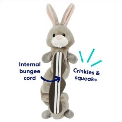 Frisco Bunny Bungee Plush Squeaky Dog Toy 10 Frisco Bunny Bungee Plush Squeaky Dog Toy -Chewy 233612 PT2. AC SS1800 V1691784247