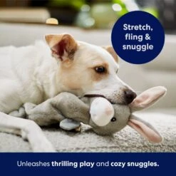 Frisco Bunny Bungee Plush Squeaky Dog Toy 12 Frisco Bunny Bungee Plush Squeaky Dog Toy -Chewy 233612 PT5. AC SS1800 V1691783971