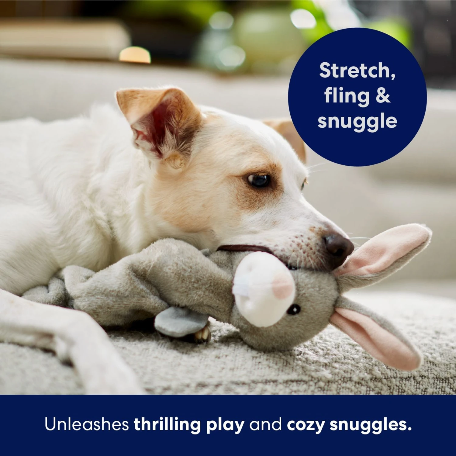 Frisco Bunny Bungee Plush Squeaky Dog Toy 7 Frisco Bunny Bungee Plush Squeaky Dog Toy - Image 5