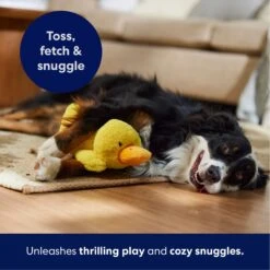 Frisco Duck Plush Squeaky Dog Toy 12 Frisco Duck Plush Squeaky Dog Toy -Chewy 233613 PT4. AC SS1800 V1695670688