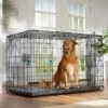 Frisco Heavy Duty Enhanced Lock Double Door Fold & Carry Wire Dog Crate & Mat Kit 2 Frisco Heavy Duty Enhanced Lock Double Door Fold & Carry Wire Dog Crate & Mat Kit -Chewy 233736 MAIN. AC SS1800 V1667229247