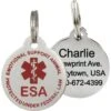 Frisco Emotional Support Animal Personalized Dog & Cat ID Tag, Round Shape 1 Frisco Emotional Support Animal Personalized Dog & Cat ID Tag, Round Shape -Chewy 233749 main. AC SS1800 V1588082162