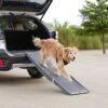 Frisco Tri-Fold Travel Dog Car Ramp -Chewy 236730 MAIN. AC SS1800 V1668186543