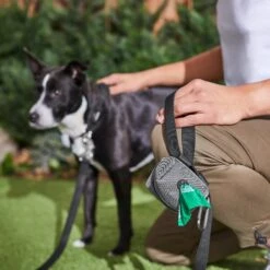 Frisco Dog Poop Bags With Fabric Dispenser 15 Frisco Dog Poop Bags With Fabric Dispenser -Chewy 236998 PT6. AC SS1800 V1610772967