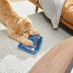 Frisco Zoomies & Chill TV Flat Plush Squeaky Dog Toy -Chewy 241685 PT6. AC SS1800 V1610768399