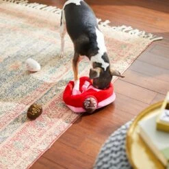 Frisco Valentine Box Of Chocolates Hide & Seek Puzzle Plush Squeaky Dog Toy -Chewy 241739 PT6. AC SS1800 V1607992038