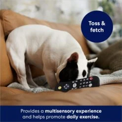 Frisco Zoomies & Chill Remote Latex Squeaky Dog Toy 10 Frisco Zoomies & Chill Remote Latex Squeaky Dog Toy -Chewy 241753 PT6. AC SS1800 V1686580150