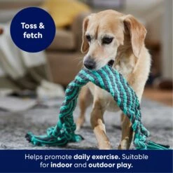 Frisco Flat Teal & Gray Braided Rope Squeaky Fetch Dog Toy 10 Frisco Flat Teal & Gray Braided Rope Squeaky Fetch Dog Toy -Chewy 242127 PT3. AC SS1800 V1695242179