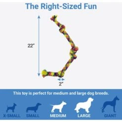 Chewy 8 Chewy -Chewy 242139 PT1. AC SS1800 V1605629207