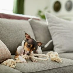 Frisco Double Knot Cotton Rope Fetch Dog Toy -Chewy 242155 PT2. AC SS1800 V1605208728