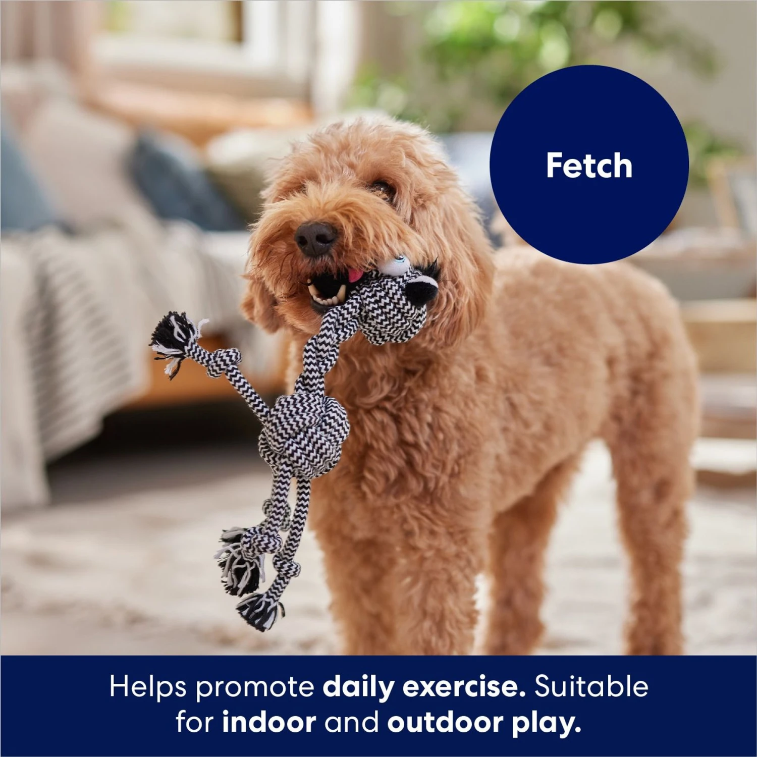 Frisco Zebra Rope Squeaky Dog Toy 6 Frisco Zebra Rope Squeaky Dog Toy - Image 4