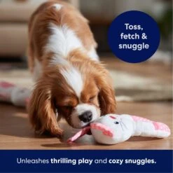 Frisco Bunny Plush Squeaky Puppy Toy -Chewy 245916 PT3. AC SS1800 V1695760959