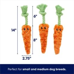 Frisco Easter Carrot Plush With Rope Dog Toy 8 Frisco Easter Carrot Plush With Rope Dog Toy -Chewy 248023 PT1. AC SS1800 V1700243718