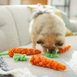 Frisco Easter Carrot Plush With Rope Dog Toy 10 Frisco Easter Carrot Plush With Rope Dog Toy -Chewy 248023 PT5. AC SS1800 V1608769360