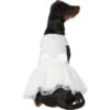 Frisco Formal Dog Wedding Dress 2 Frisco Formal Dog Wedding Dress -Chewy 248743 MAIN. AC SS1800 V1614118280